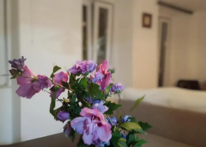 Casa Com Vista Sob A Cidade! Апартаменты