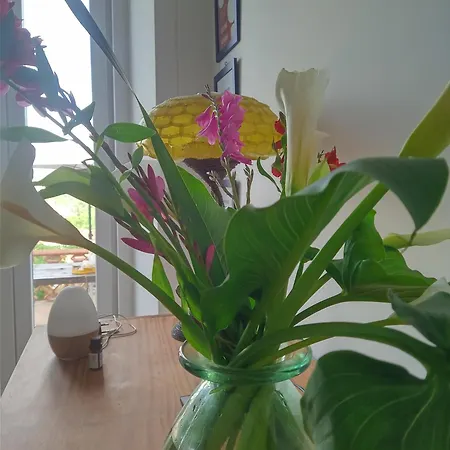 Casa Com Vista Sob A Cidade! Apartamento