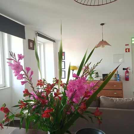 Casa Com Vista Sob A Cidade! Apartman Coimbra