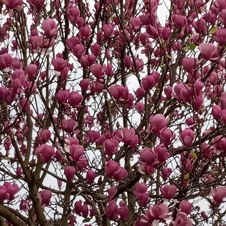 Apartamento Casa Com Vista Sob A Cidade! *