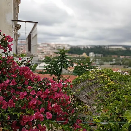 Apartmán Casa Com Vista Sob A Cidade! *