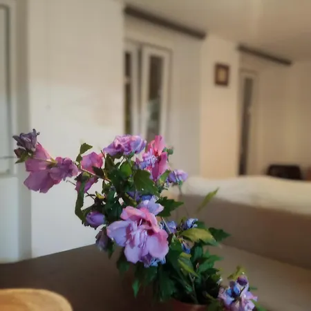 Casa Com Vista Sob A Cidade! Apartamento