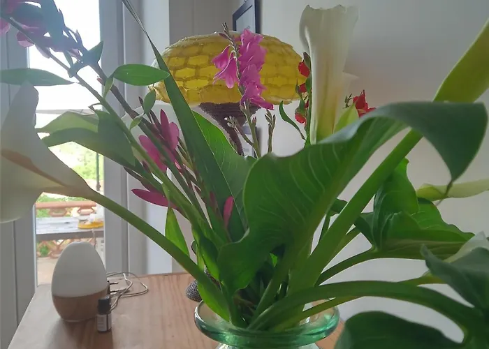 Casa Com Vista Sob A Cidade! アパート