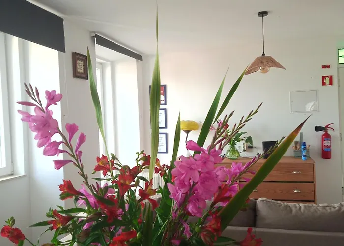 Casa Com Vista Sob A Cidade! アパート コインブラ