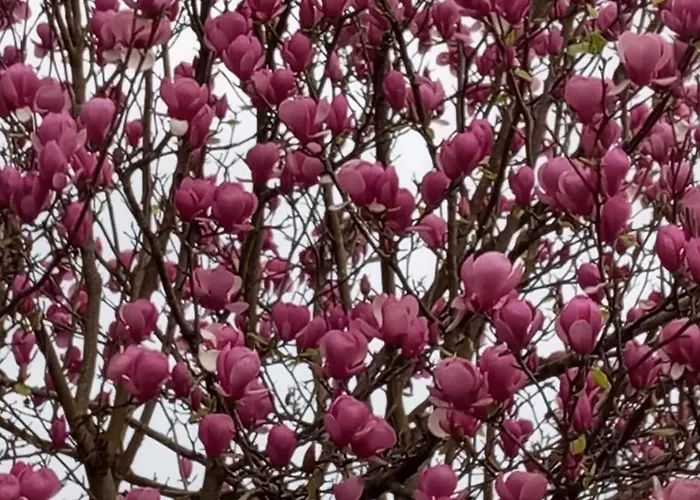 アパート Casa Com Vista Sob A Cidade! *